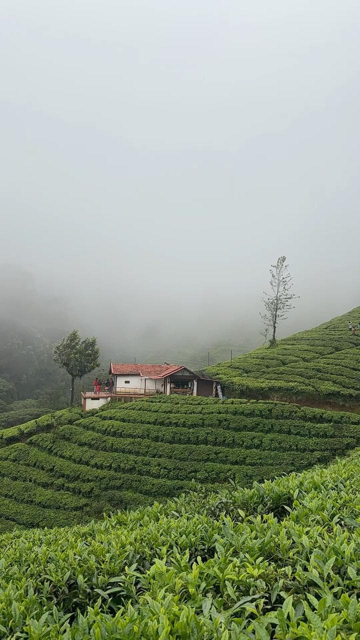 Ooty Nilgiri Escape View